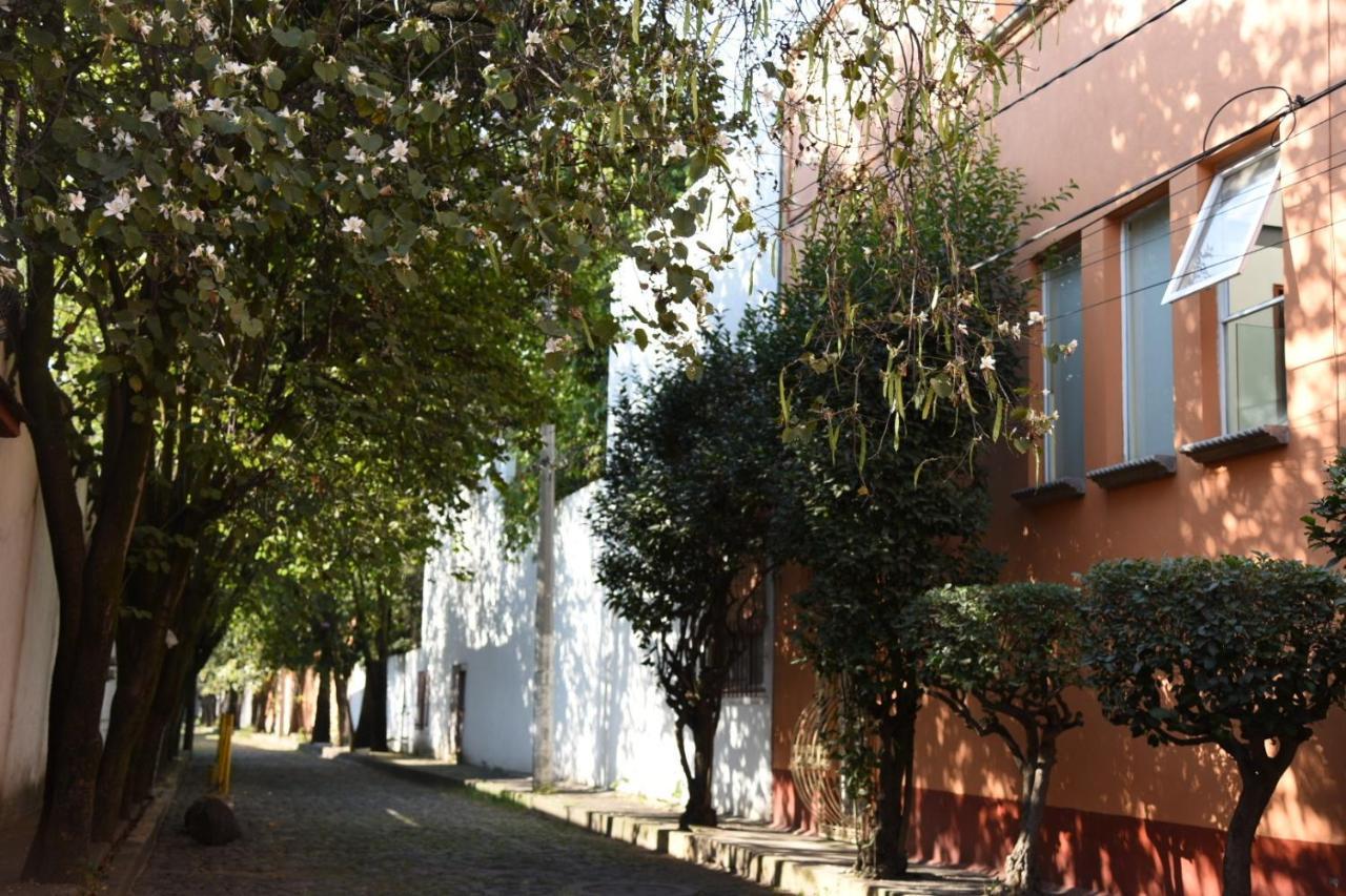 Casa Lulu Coyoacan Alvaro Obregon Buitenkant foto
